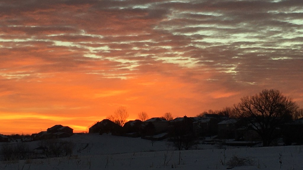 2021-01-11 Happy Dance Monday…&nbsp;💃💃💃