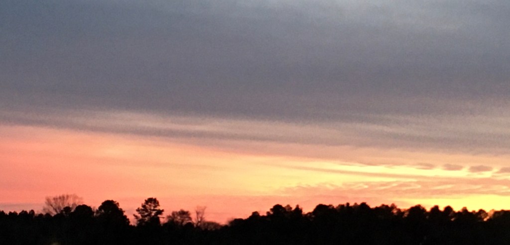 2021-01-30 Home Again, Home Again,&nbsp;Jiggety-Jig