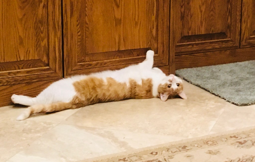 2021-02-20 Why I’m Doubling Down&nbsp;Today