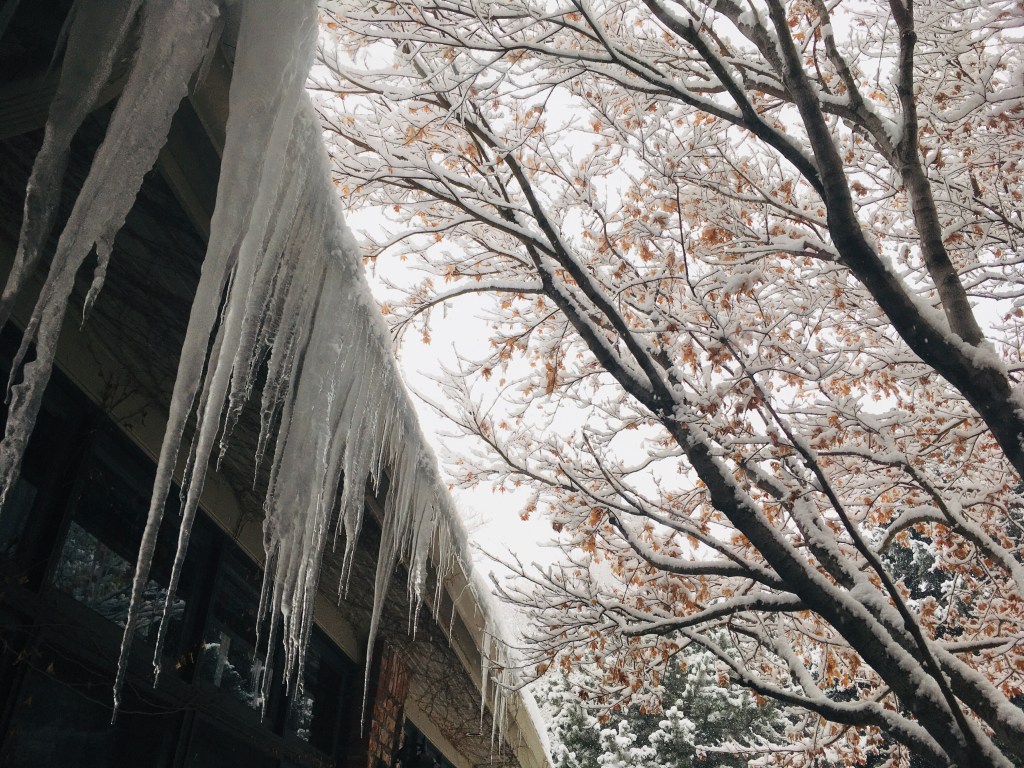 2021-02-21 Sunday Status Funny Money&nbsp;🐹