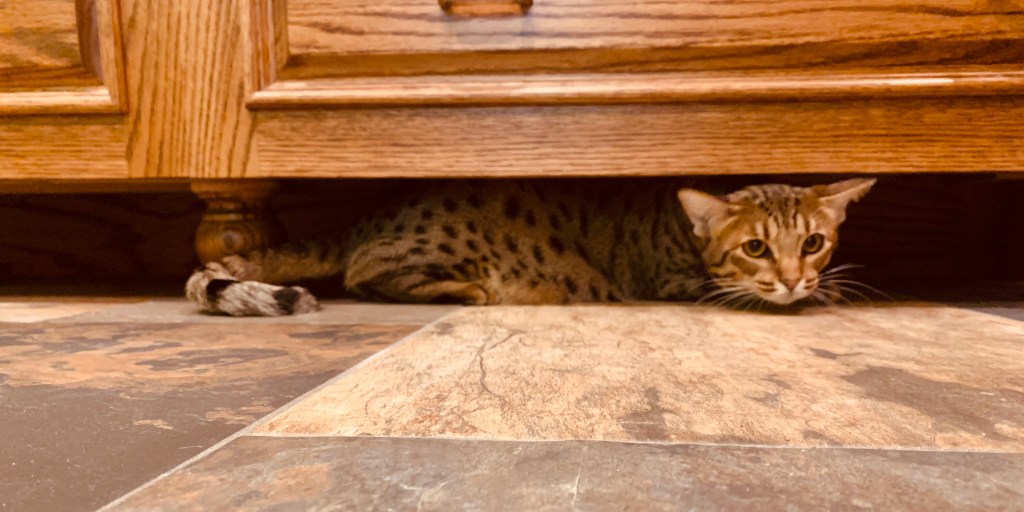 2021-02-24 Some Days Just Need to Be&nbsp;Forgotten