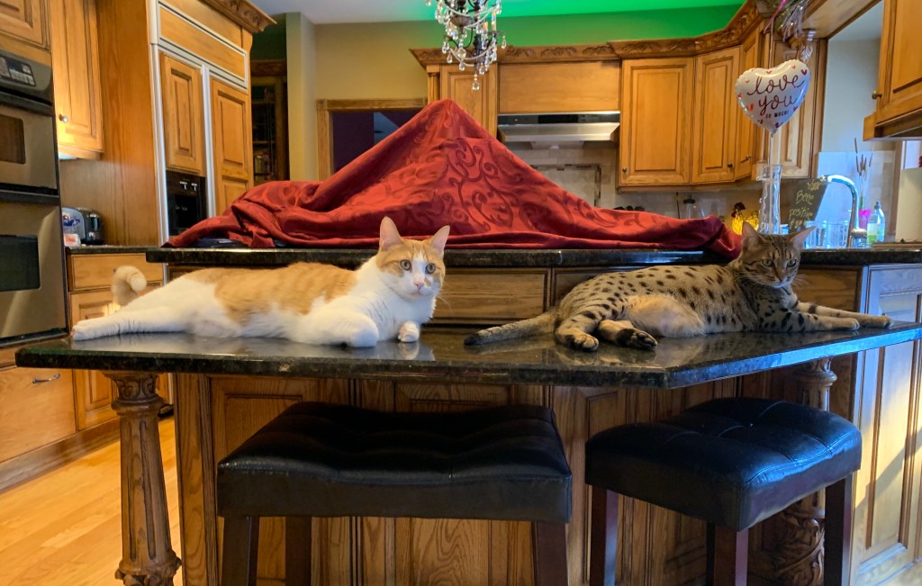 2021-02-23 24 Days in a a&nbsp;Row…