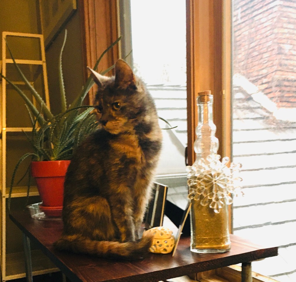 2021-03-26 The light at the end of the&nbsp;tunnel…