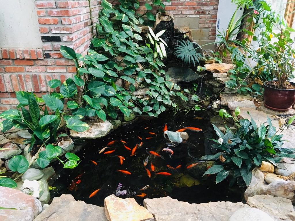 2021-03-13 The Variable Speed of&nbsp;Time