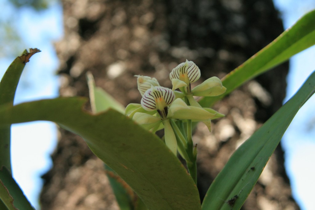 2021-03-03 Ohhhh, the&nbsp;Irony….