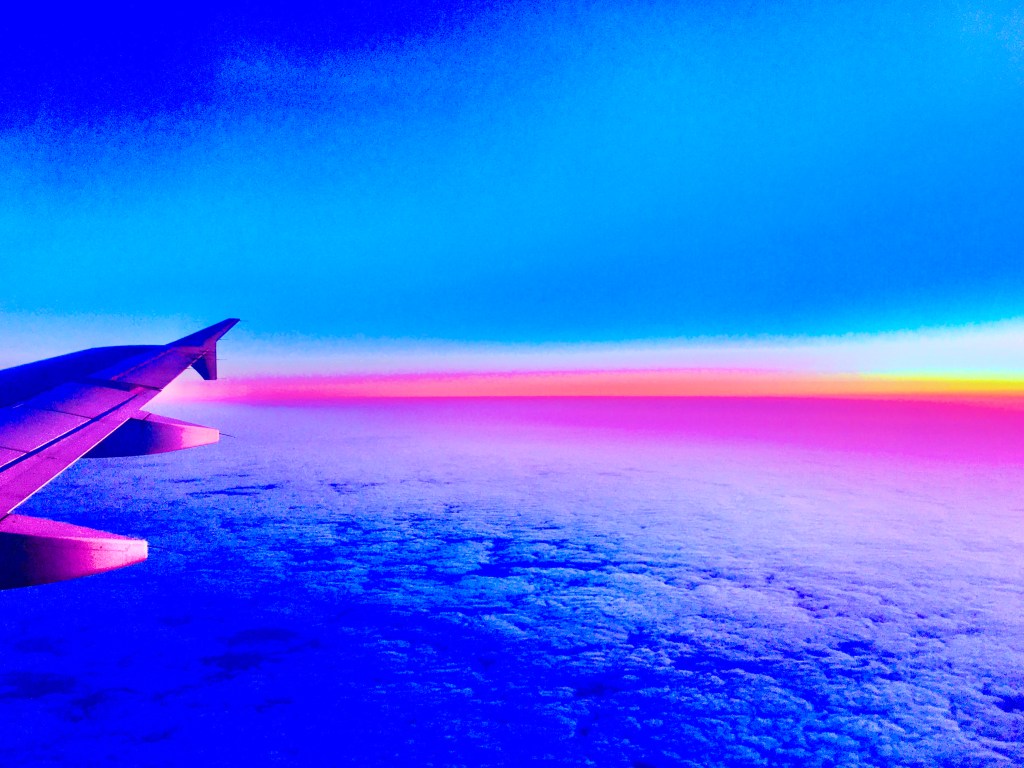 2021-04-18 Miss SugarCookie is On the Move Again…&nbsp;✈️⛰☀️🌴😎