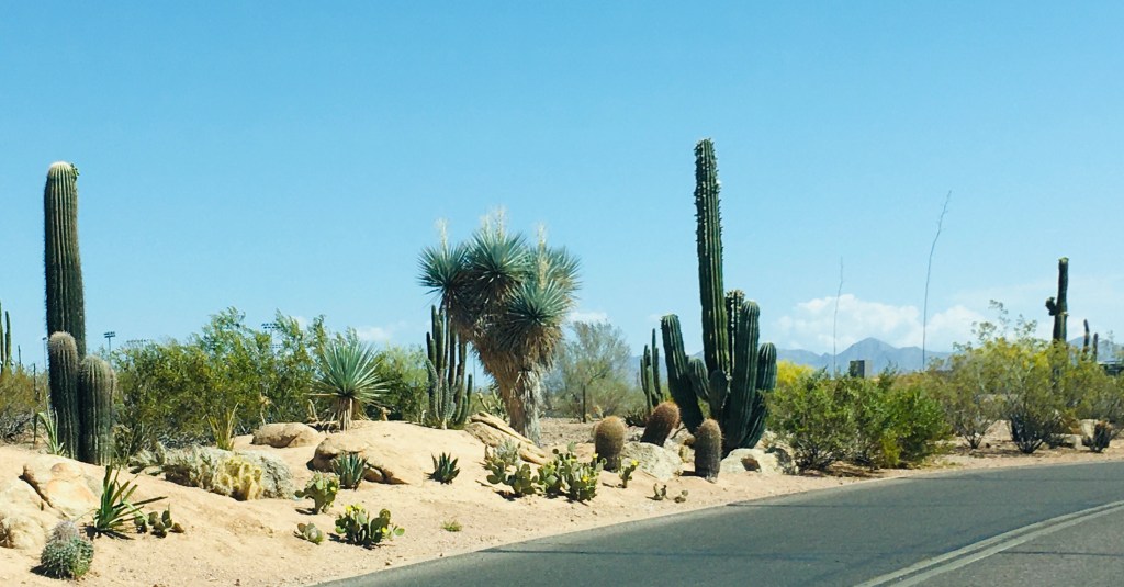 2021-04-18 Arizona Adventure Day 0: Just Getting Started 🌵
