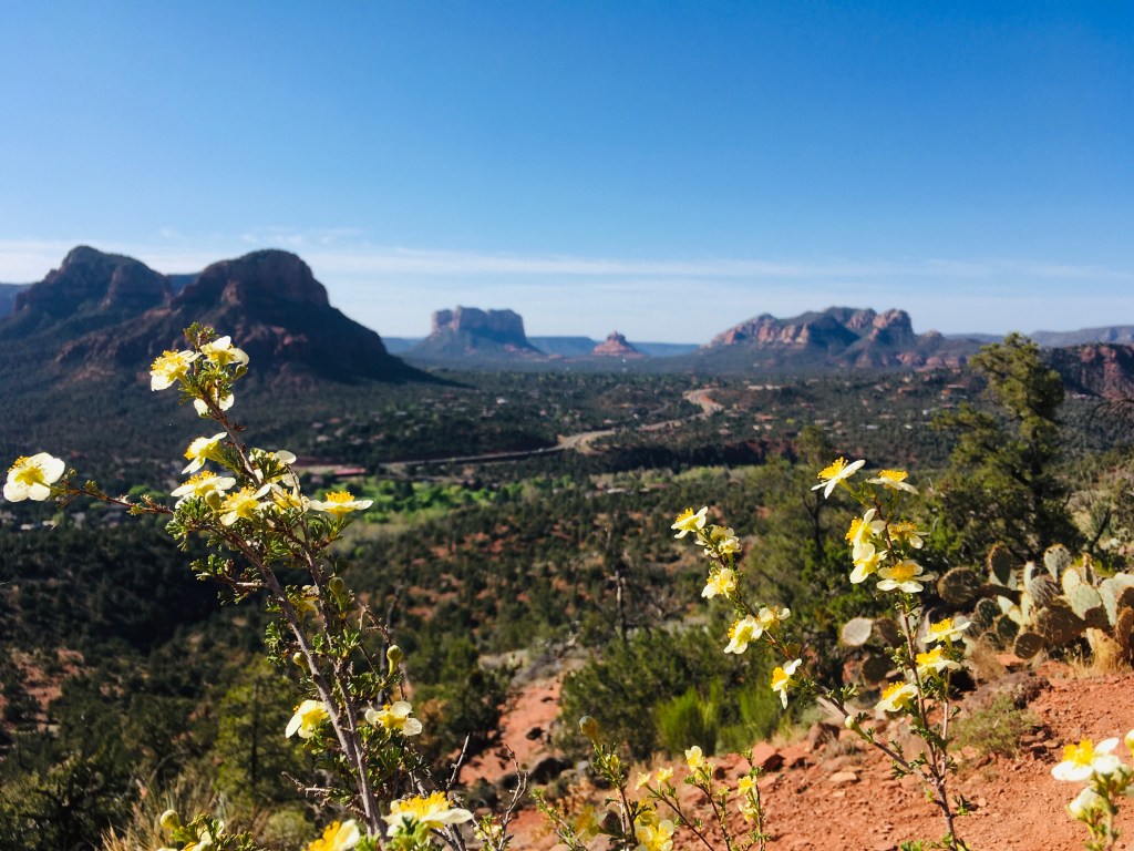 2021-04-22 Arizona Adventure Day 4: Doing Sedona Take 2