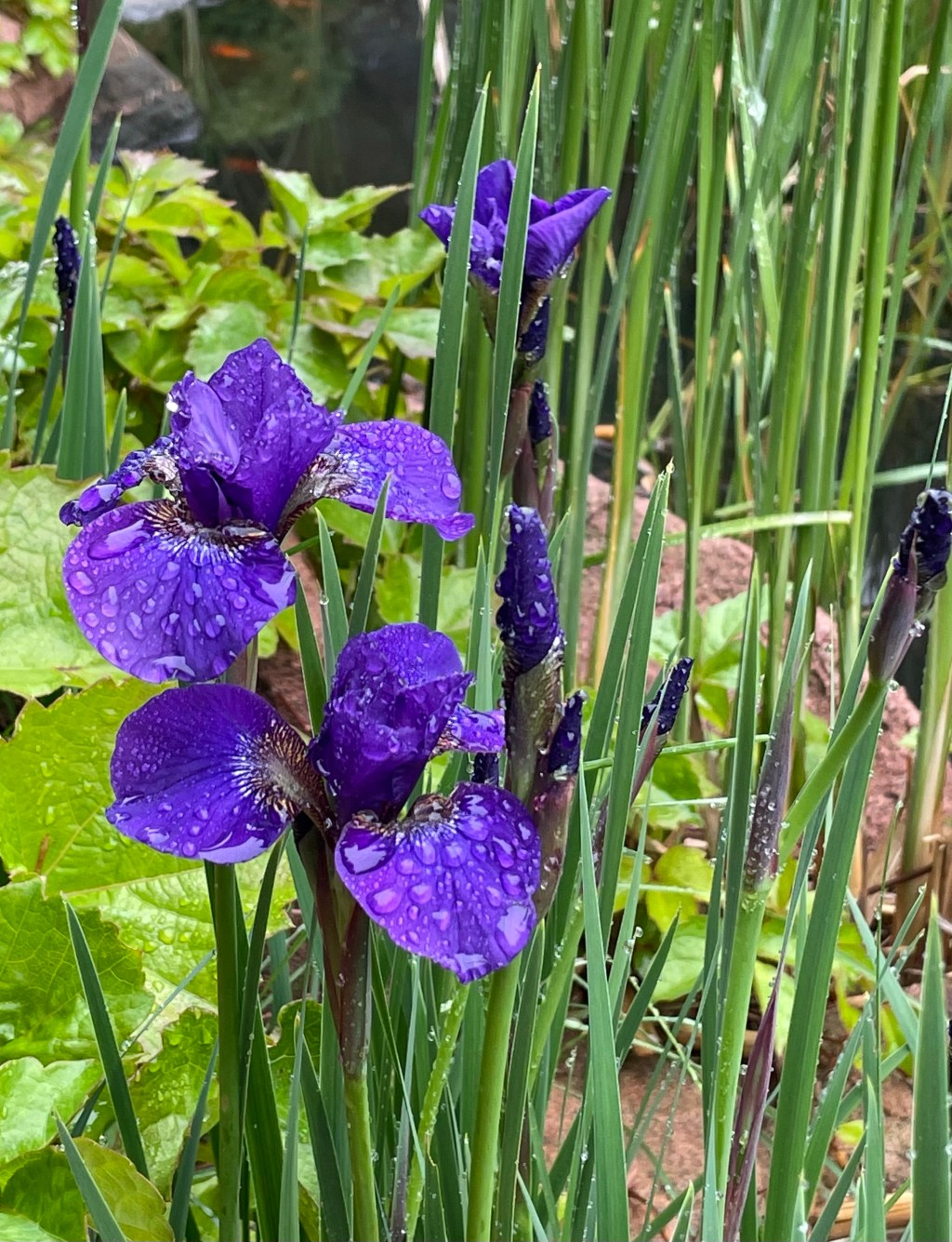 2021-05-18 Music as Inspiration and Other Rando Crafty&nbsp;Thoughts…