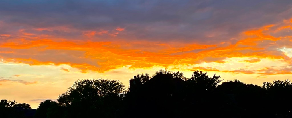 2021-06-03 Coming to a Few&nbsp;Conclusions