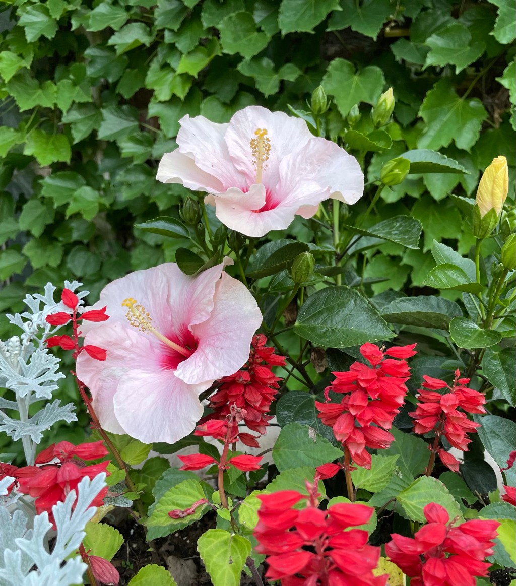 2021-06-05 Cliches About Time are Cliche Because of Their&nbsp;Truth