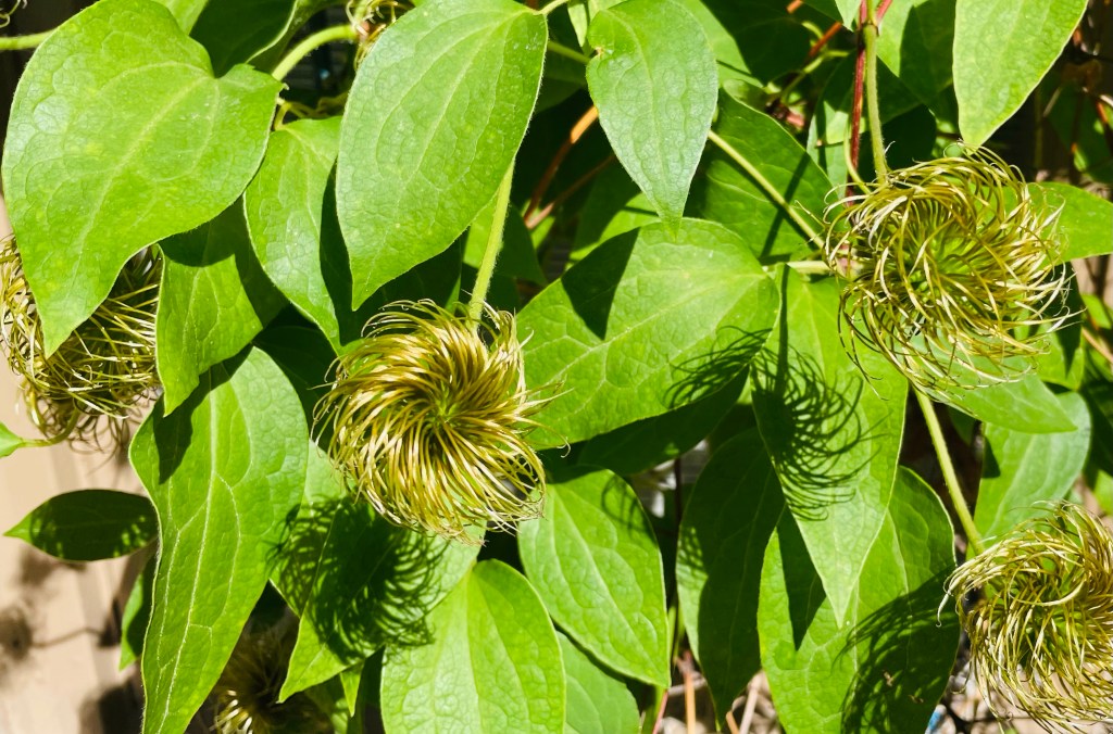 2021-06-12 The Security Camera Saga: A Prequel&nbsp;🎥