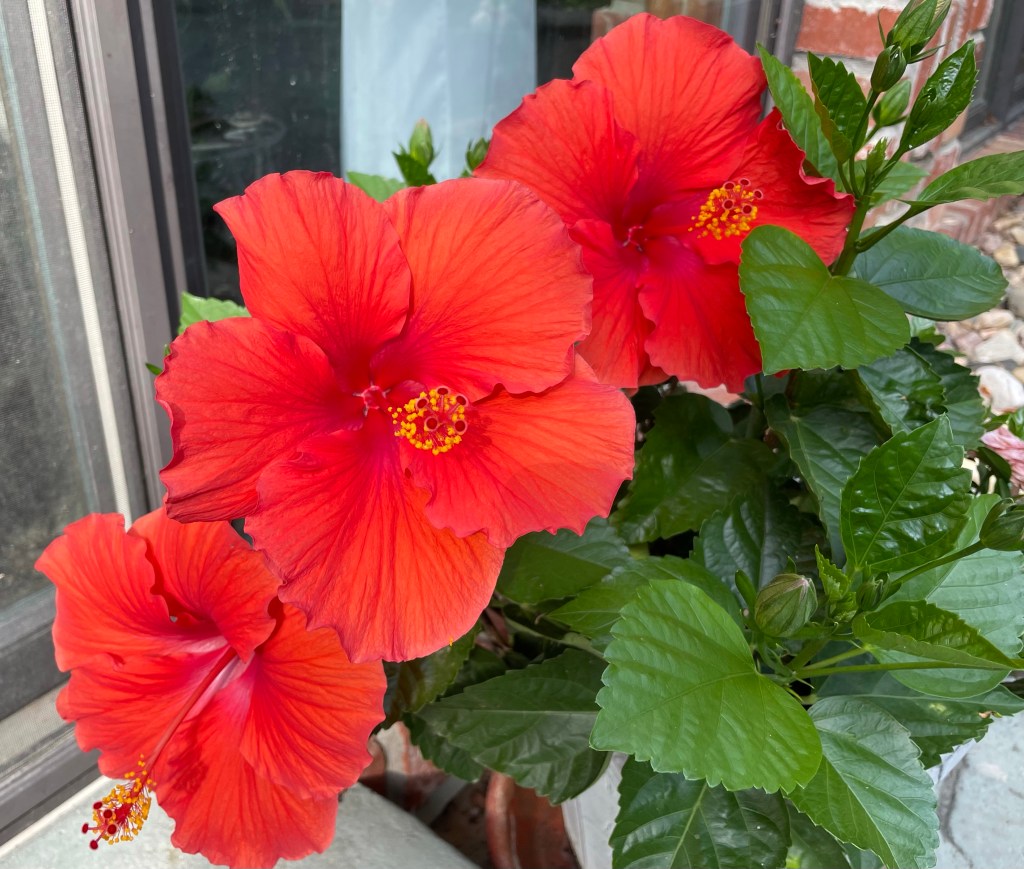 2021-07-02 Wait a Day and the Forecast Will&nbsp;Change