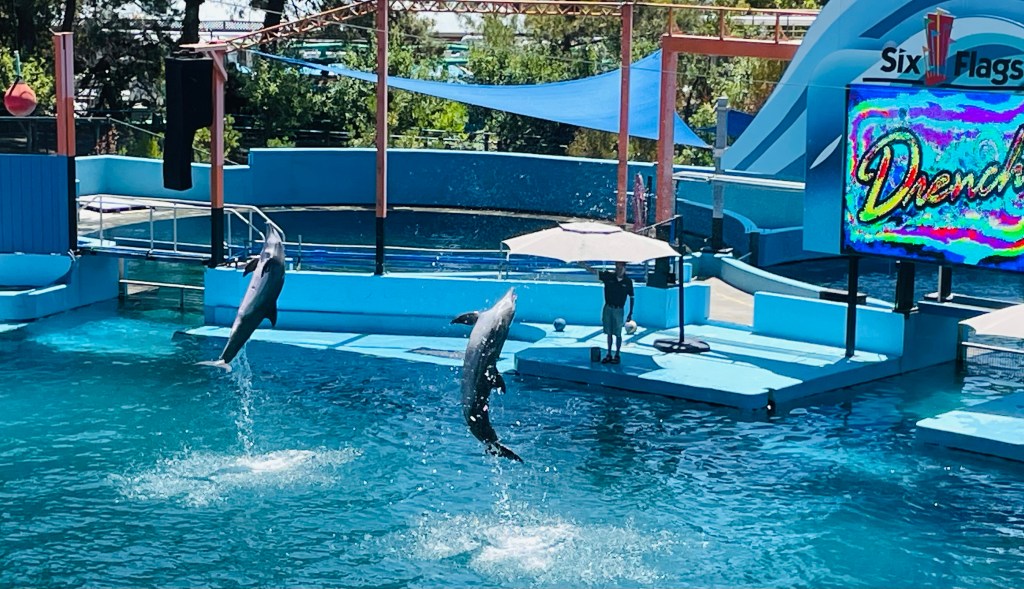 2021-07-23 California Adventure Day 1: Not the Blog Post I Was Hoping&nbsp;For