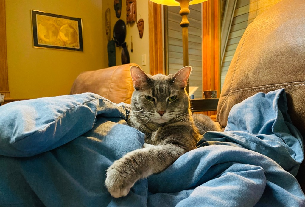 2021-08-18 Mood Math