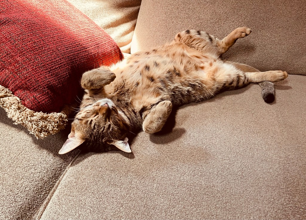 2021-09-15 Dealing with Deadlines and a Midlife Identity&nbsp;Crisis