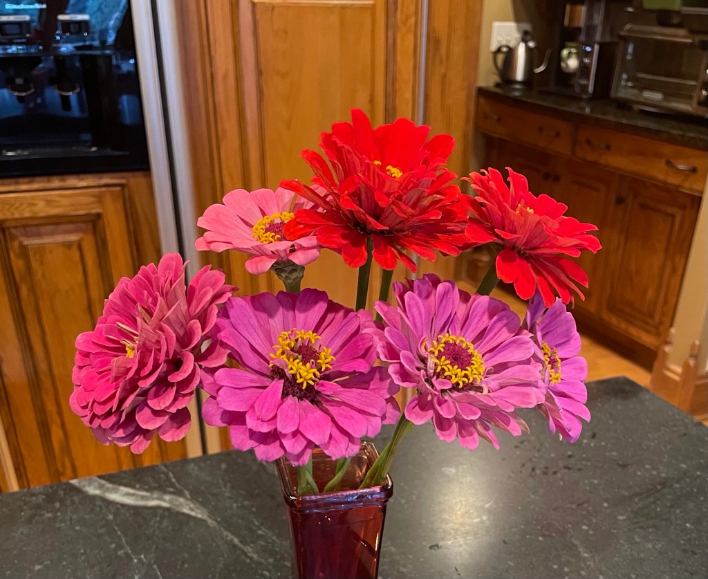 2021-09-20 Monday Roll&nbsp;Call