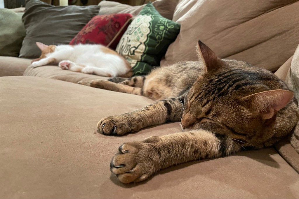 2021-10-09 Where to Begin… ✍🏻