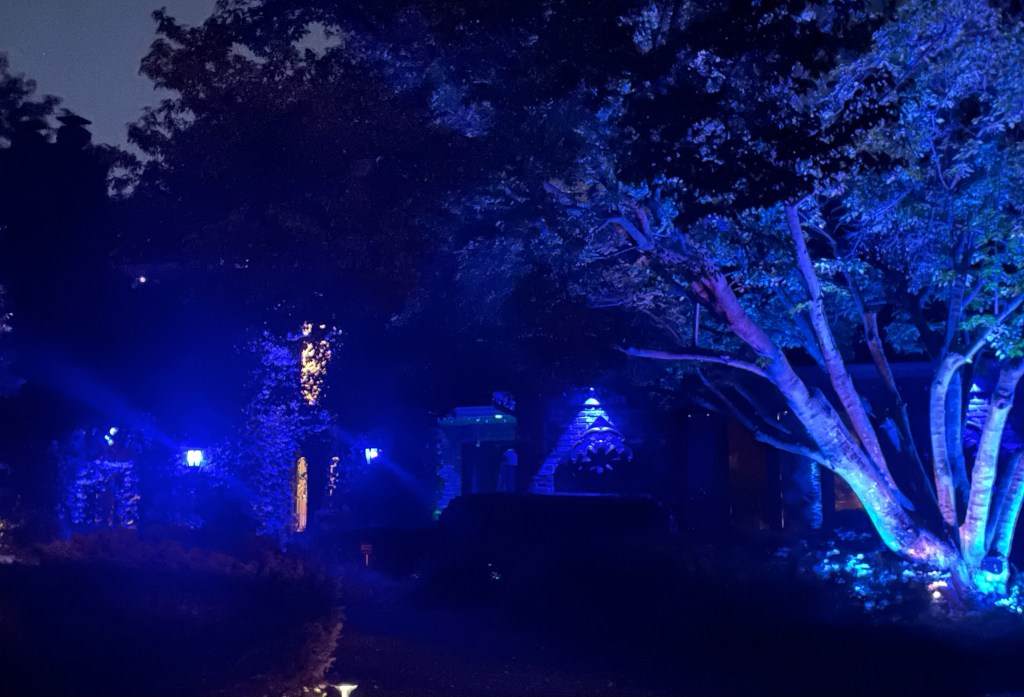 2021-11-08 Just Another Lustless&nbsp;Monday…