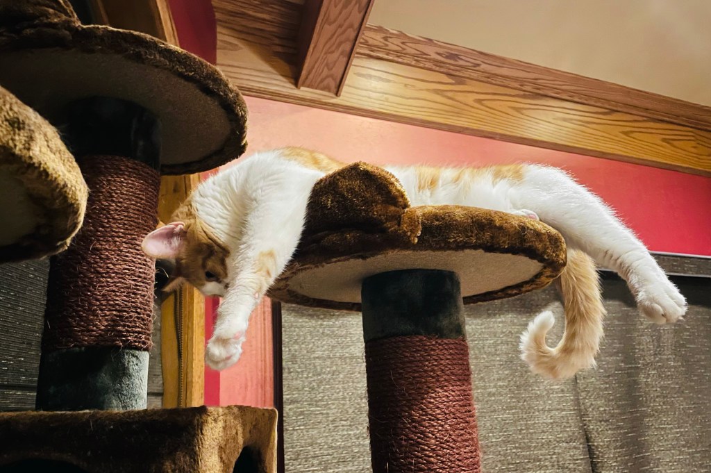 2021-11-06 It has been a while… but&nbsp;why?