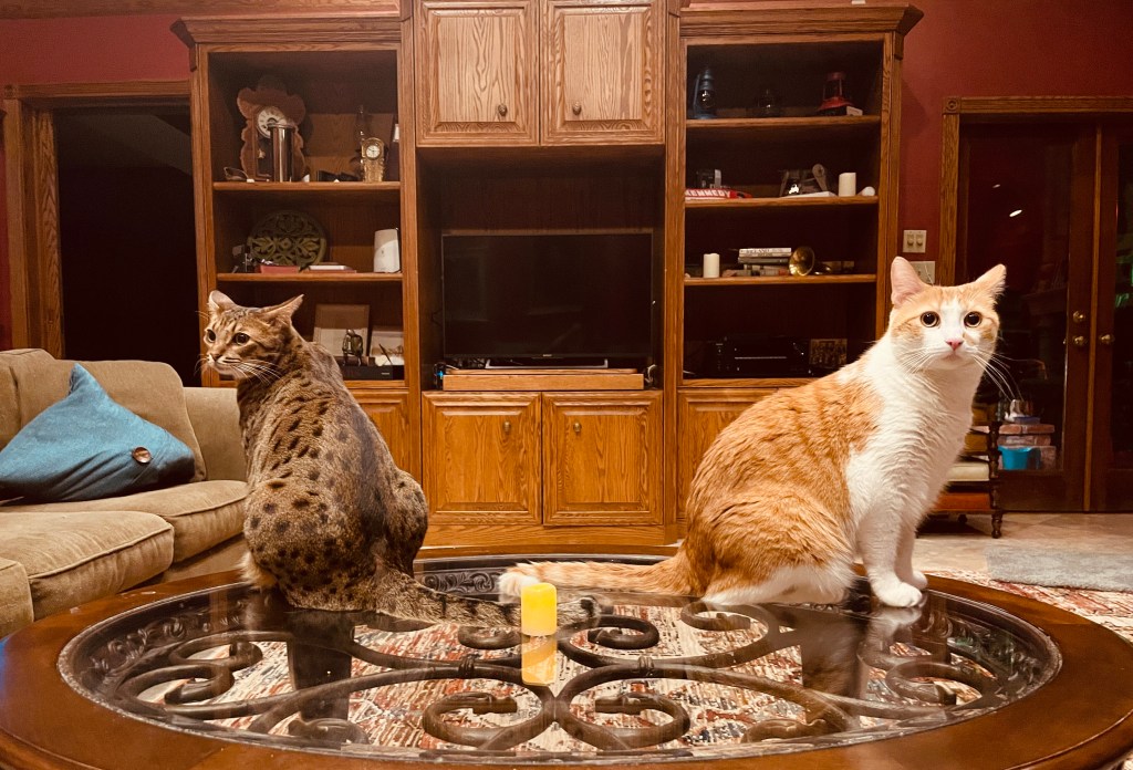 2021-11-25 Happy Turkey Day Y’all!!&nbsp;🧡🍗🥓🥧🥔🥐🥦🌽🧡