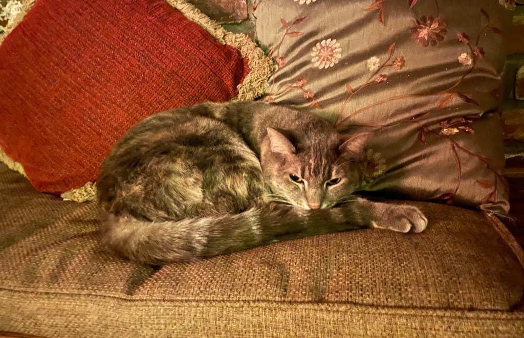 2022-01-21 What’s Done is&nbsp;Done