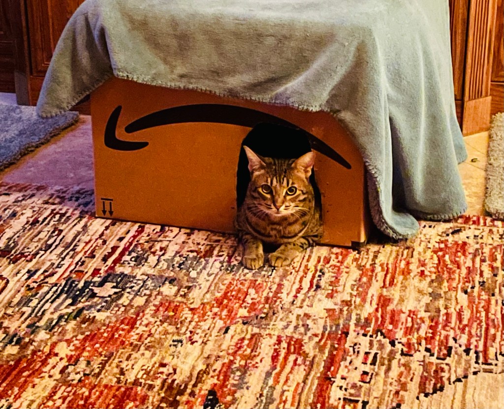 2022-01-07 Kind of a White Rabbit Start to 2022&nbsp;🐇🐇🐇