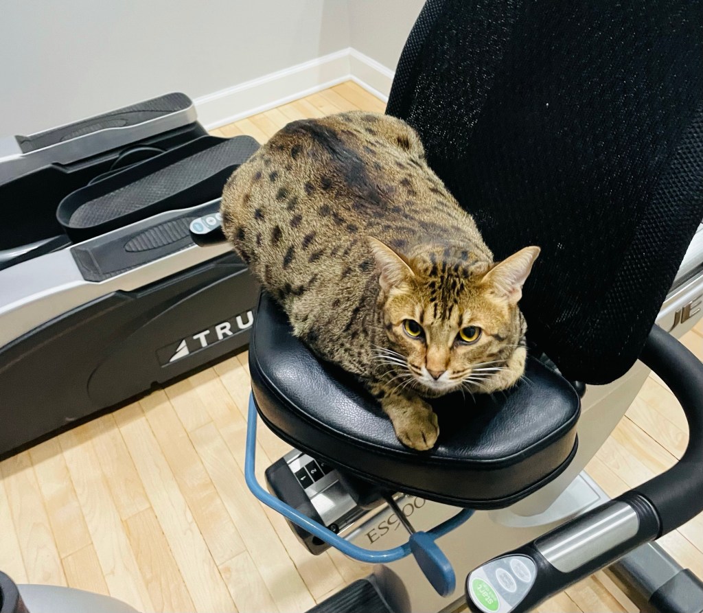 2022-01-03 It Can Be Whatever You&nbsp;Want…