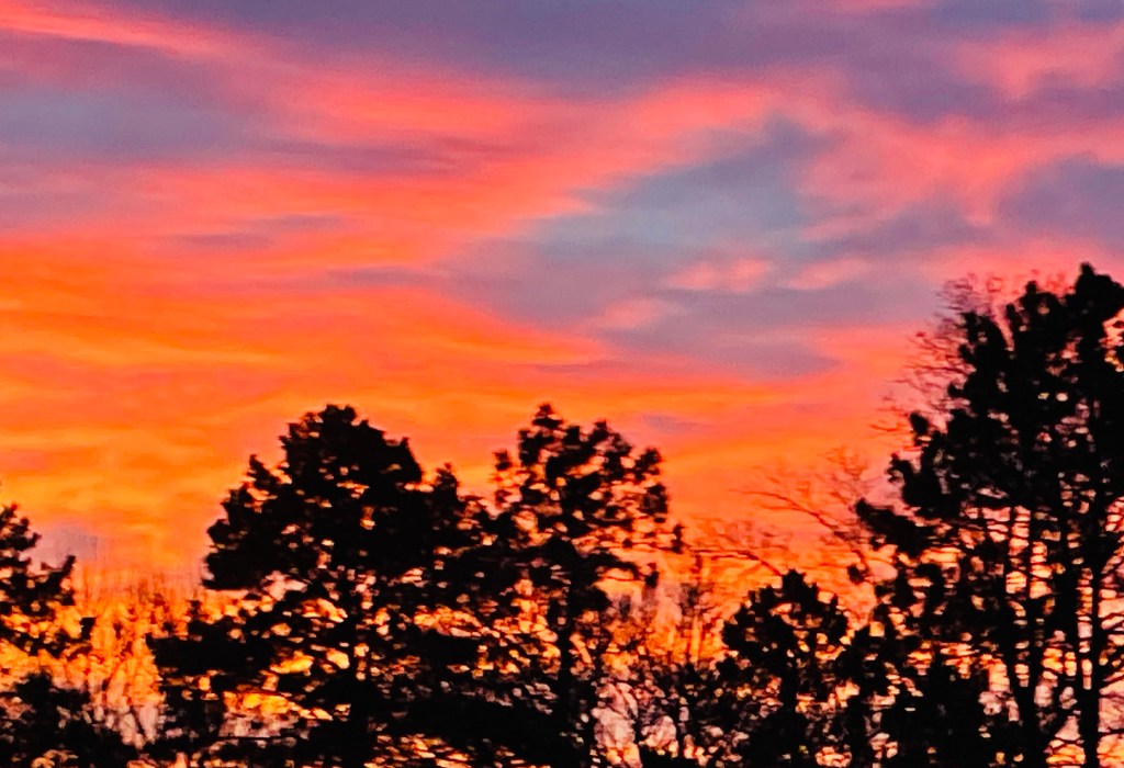 2022-01-04 On Tuesday’s I Take Out the&nbsp;Trash