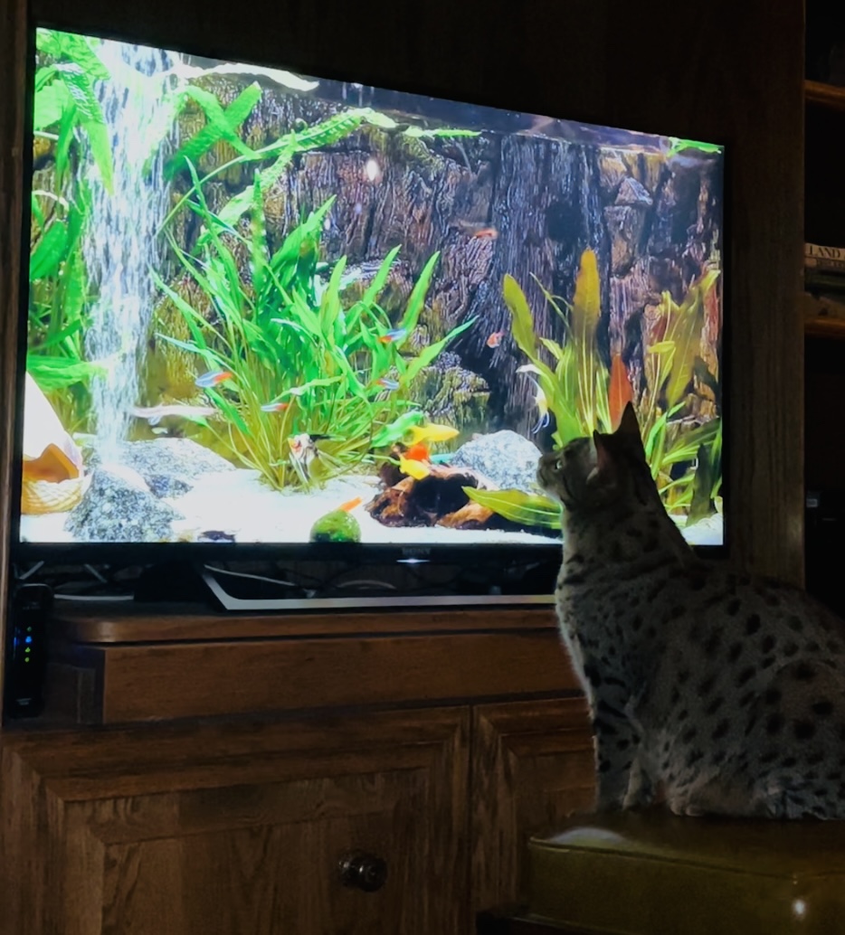 2022-01-08 Where’s the Bullseye This Year? 🎯