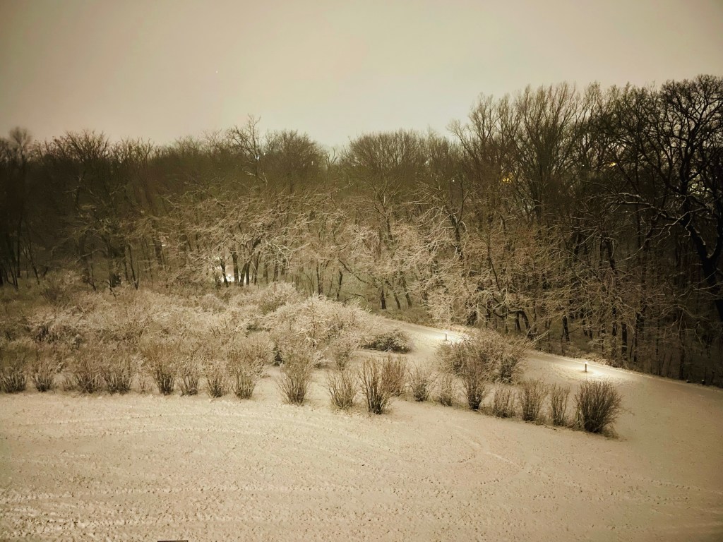 2022-01-16 Where’s the Magic?&nbsp;🪄