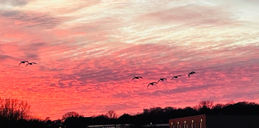 2022-01-28 Giving Birth is Hard Work, Especially When You’re&nbsp;Distracted