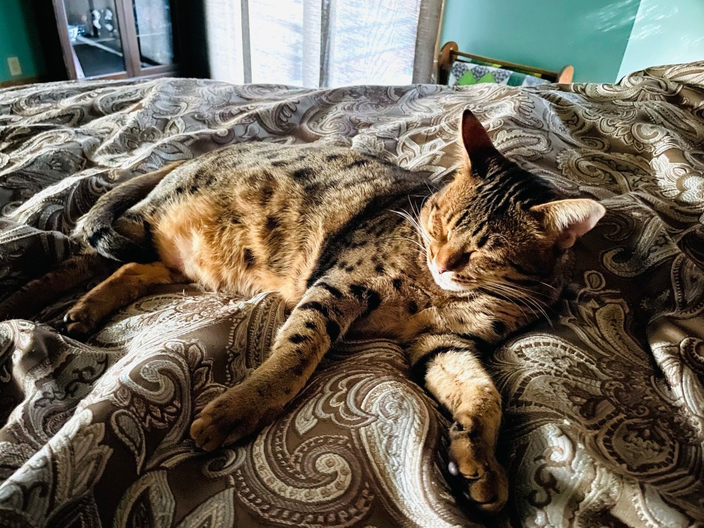 2022-02-04 Checking In and Checking Out…&nbsp;✅