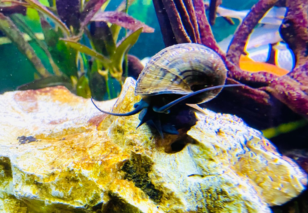 2022-03-05 Questions without Answers: Part&nbsp;2