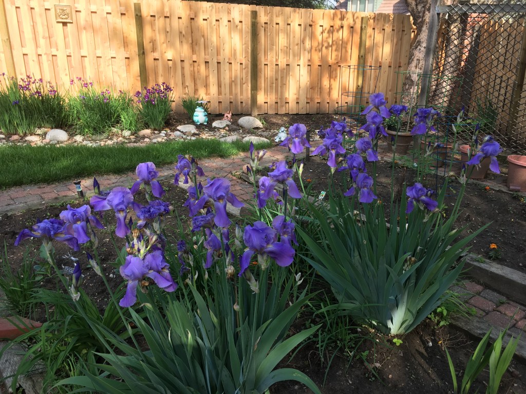 2022-04-13 Who Cares?