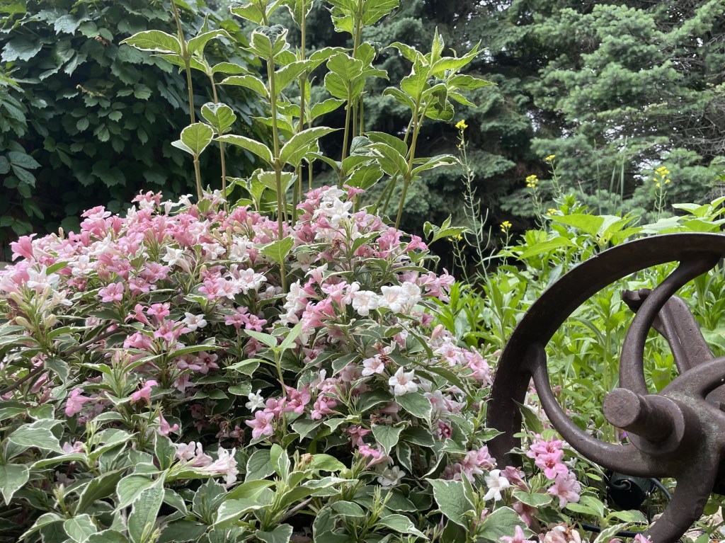 2022-06-15 #1000WordsOfSummer Day 12:Part Two ✍️