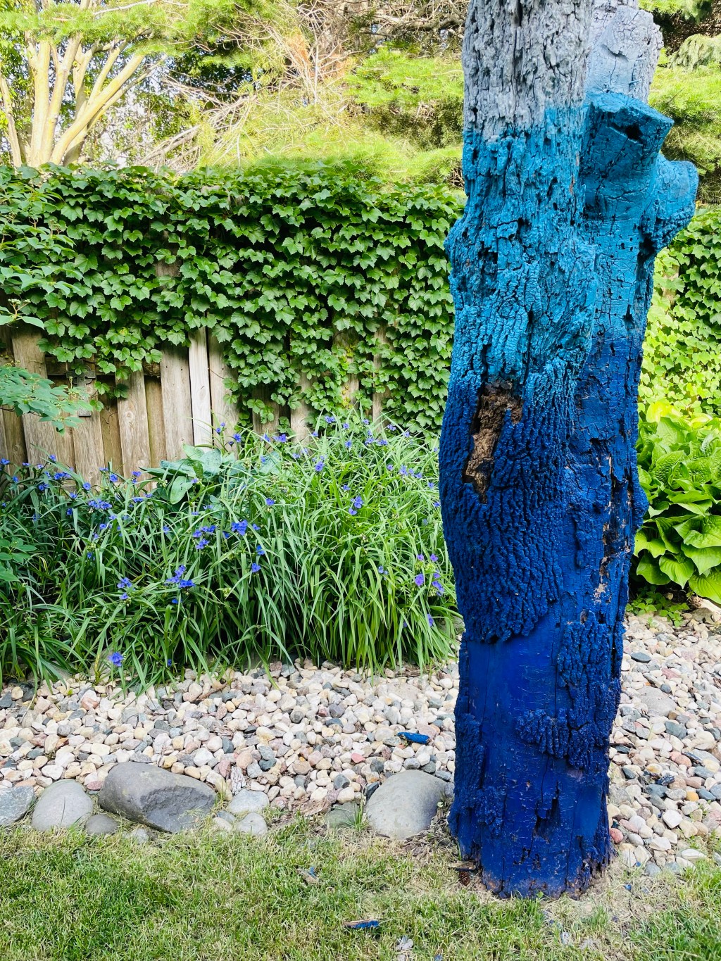 2022-06-22 What Would Single Miss SugarCookie Do?