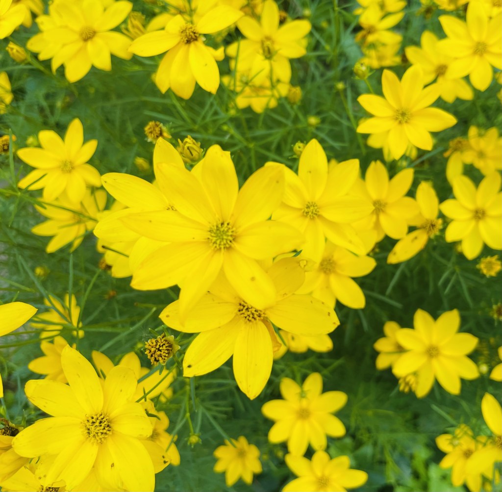 2022-06-28 A Day In The&nbsp;Life