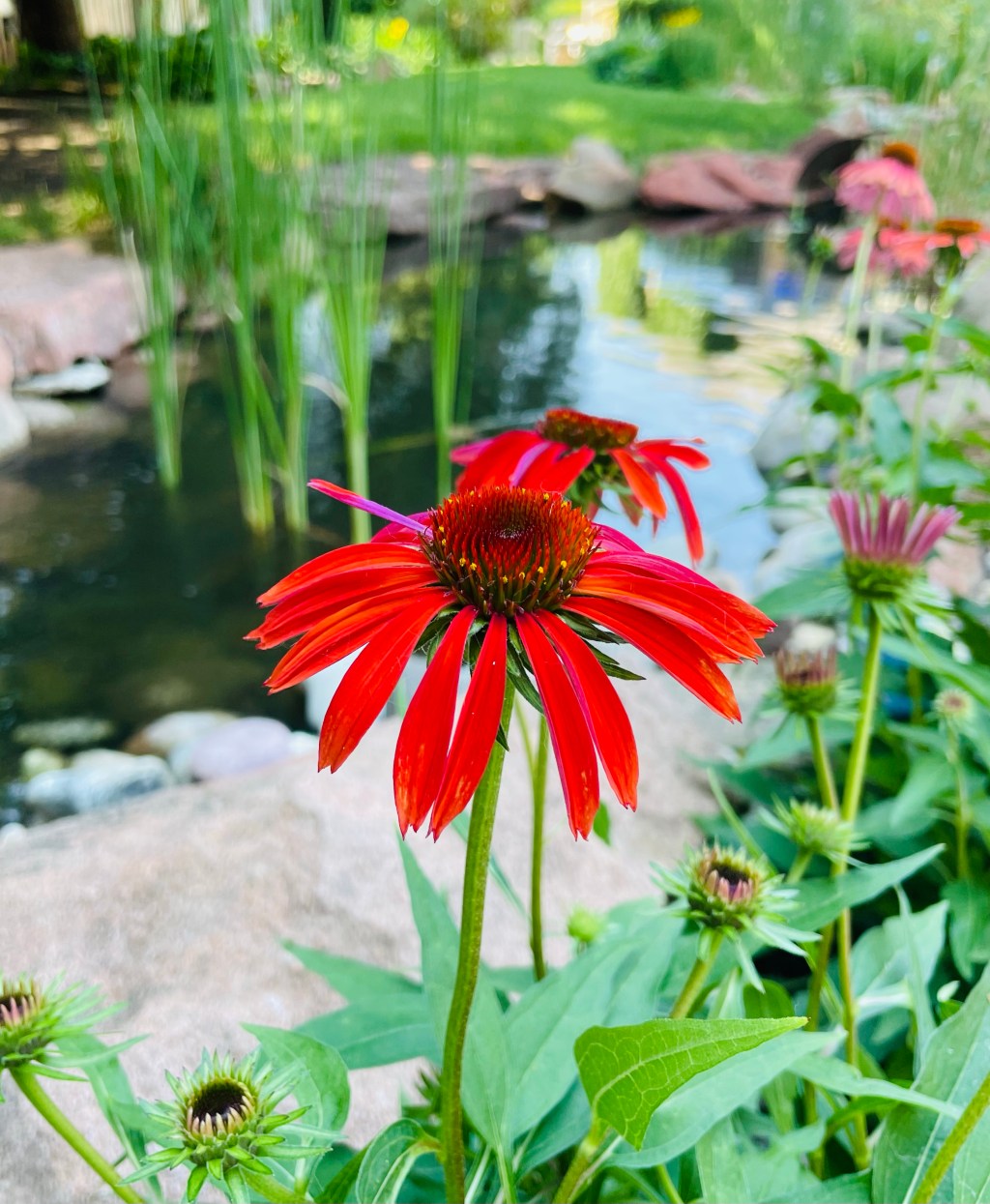 2022-07-05 Welcome to July and the Conclusion to “Who&nbsp;Cares”