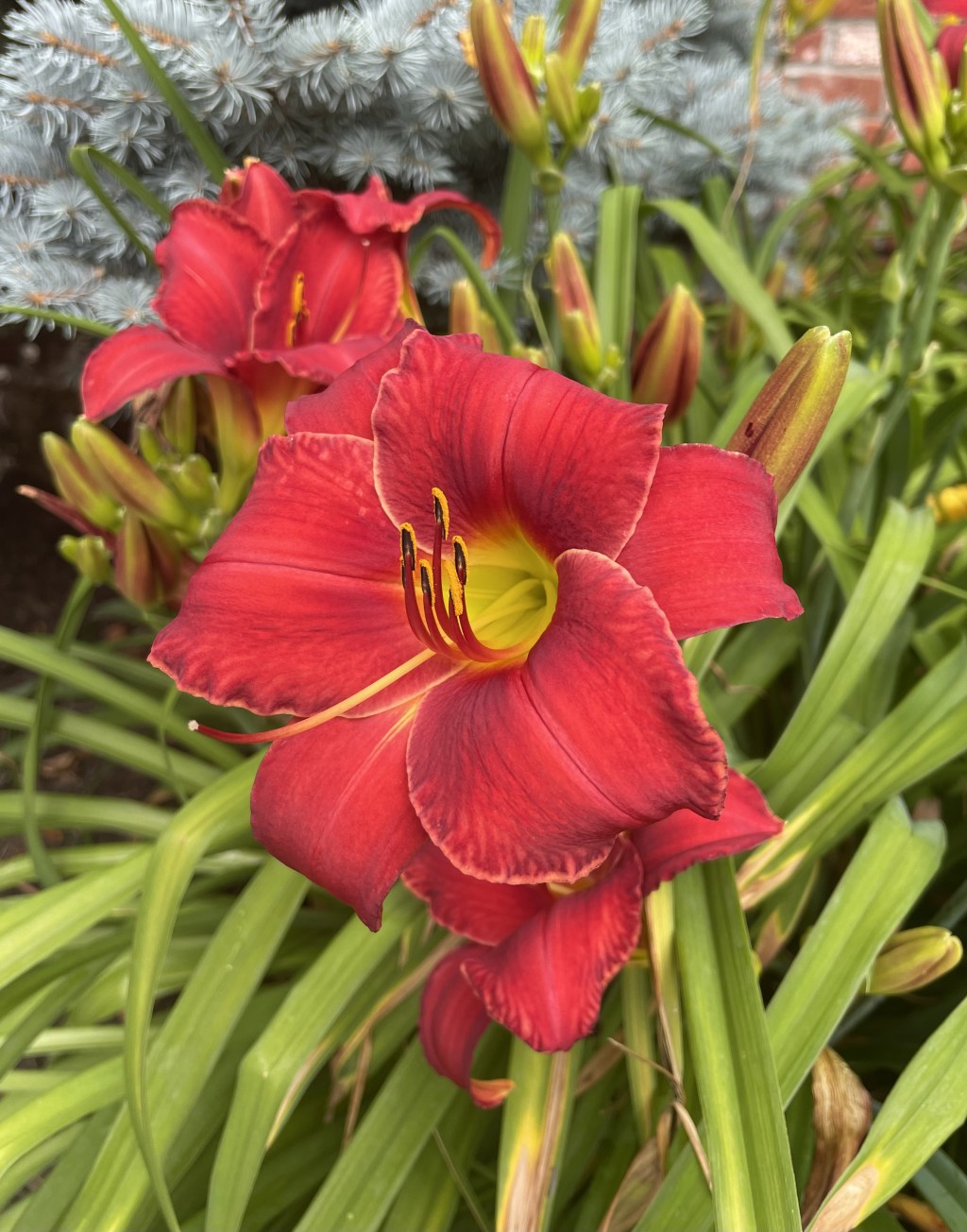 2022-08-04 Exploring the Writing Woes (again) Despite Everything Going My&nbsp;Way