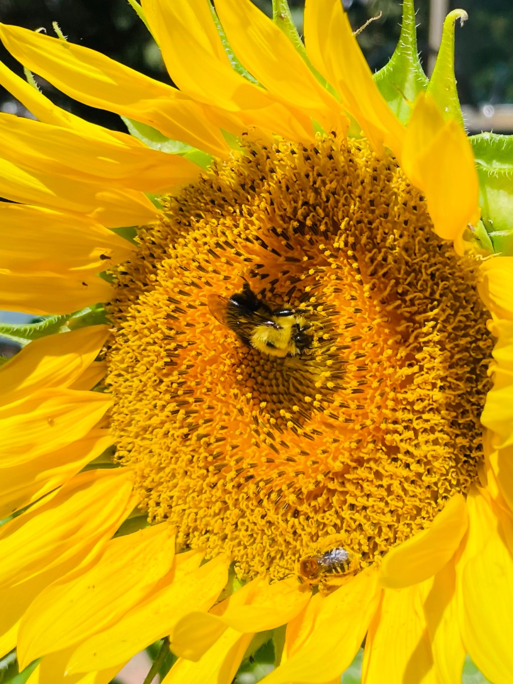 2022-08-08 The Way a Heart&nbsp;Beats…