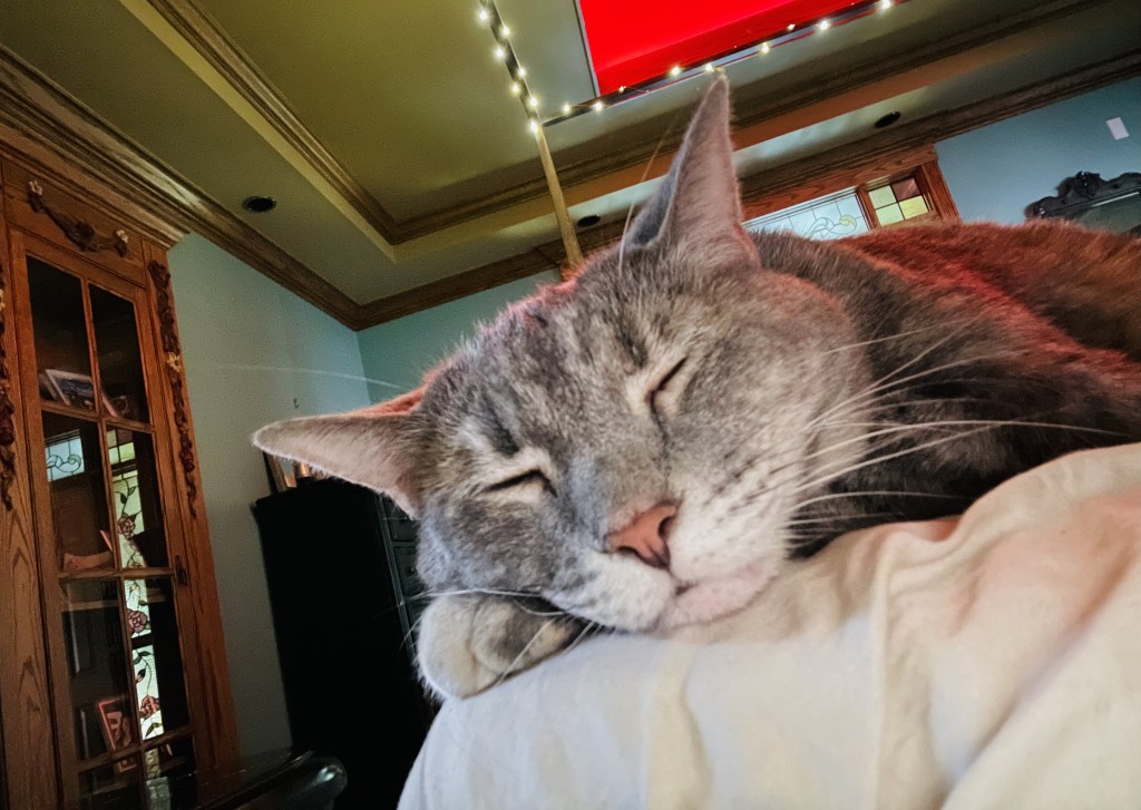 2022-09-15 Sometimes When It Rains, It&nbsp;Pours