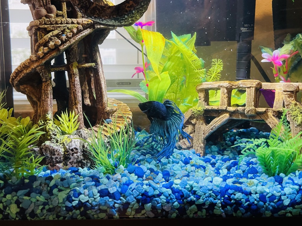 2022-09-14 The Daily Pep and Thoughts on&nbsp;Quitting