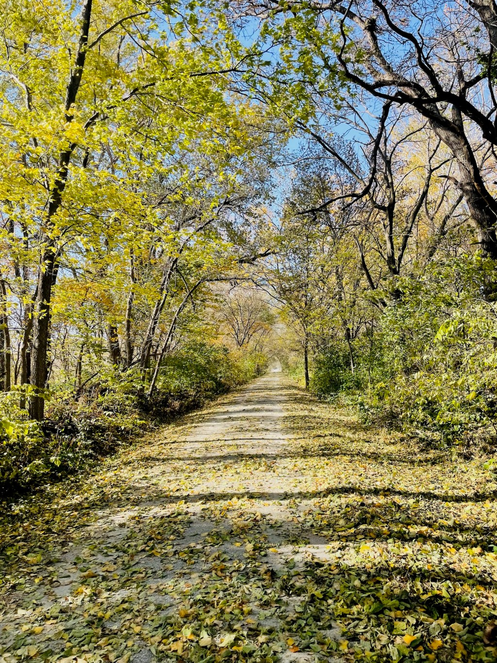 2022-10-27 The One About Blogging and Drama Over THIS&nbsp;Blog