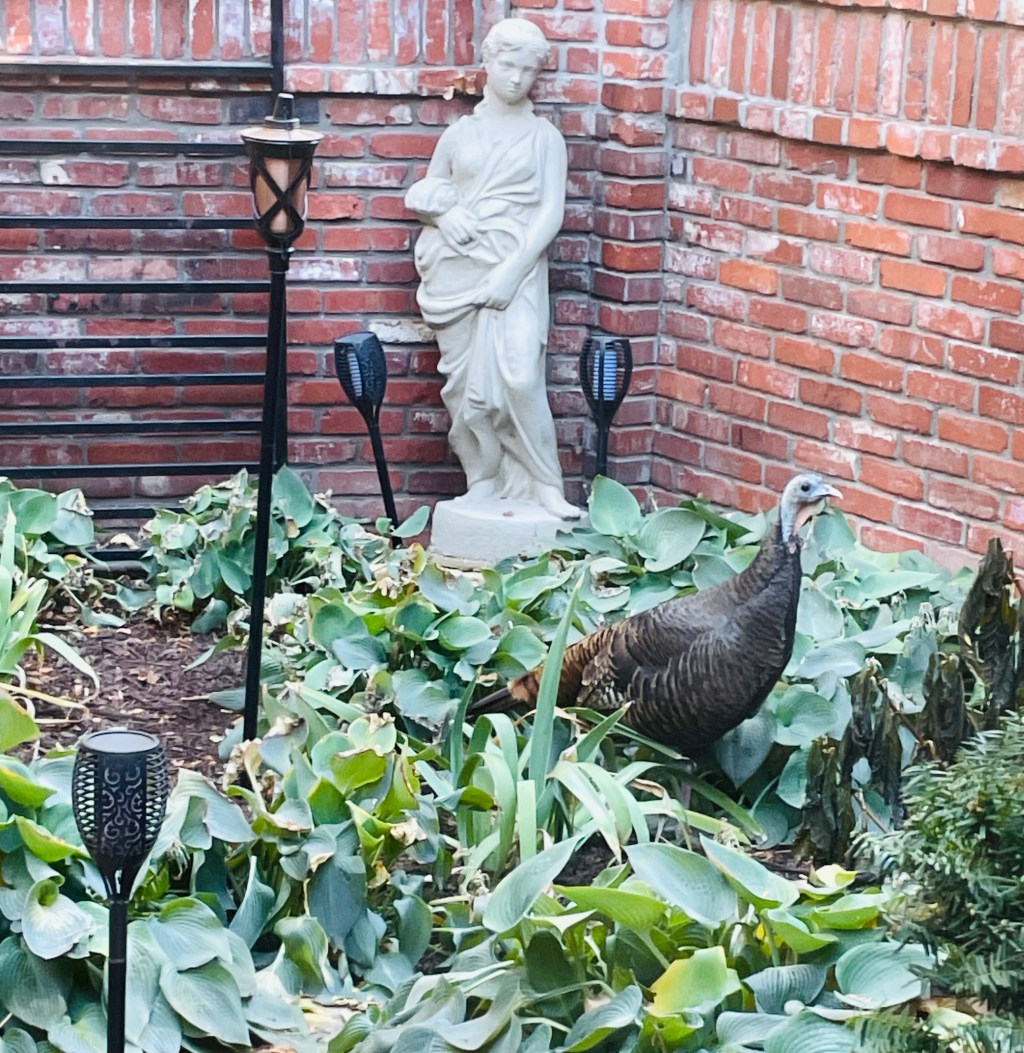 Protected: 2022-11-20 Using Gratitude to Change an Attitude