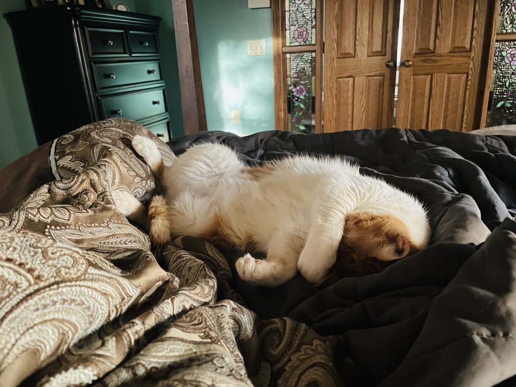 Protected: 2022-12-07 A Kind of Waiting&nbsp;Game…