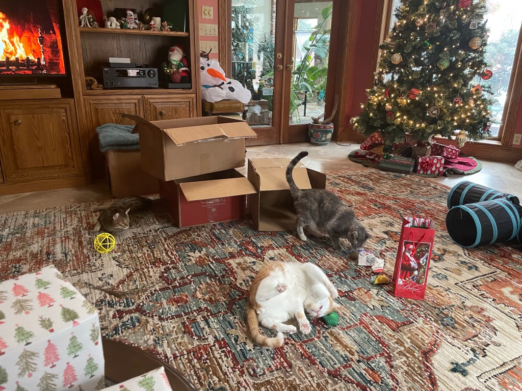 2022-12-26 And That’s a Wrap…&nbsp;🎄