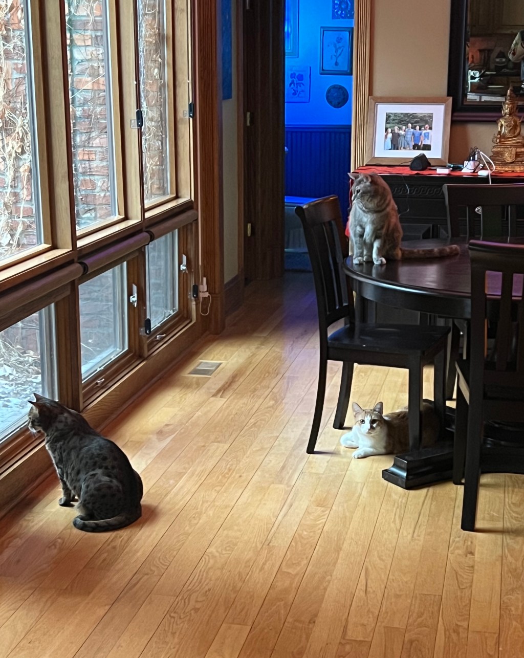 2023-01-29 Birdwatching in the&nbsp;Morning