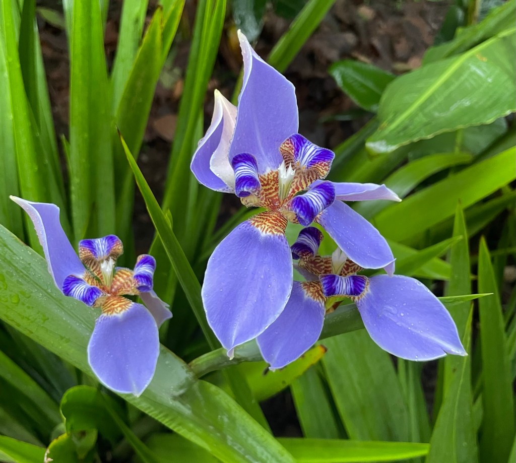 2023-02-13 Back with&nbsp;Purpose