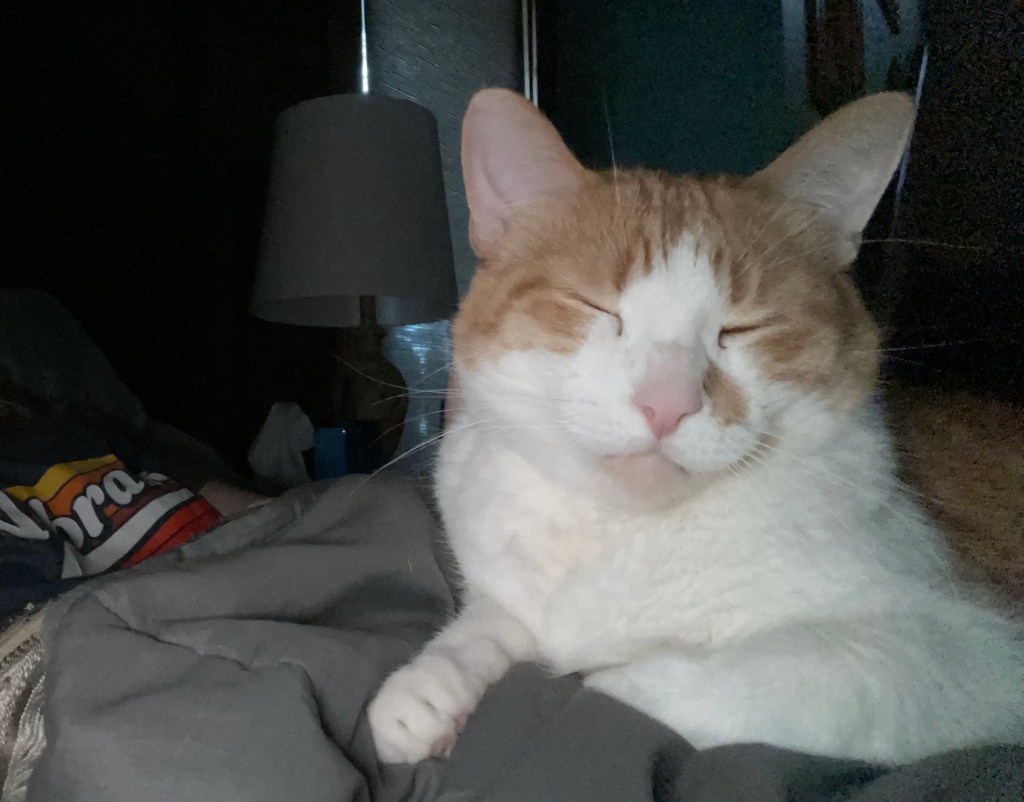 2023-03-15 Averting My Eyes on the&nbsp;Ides